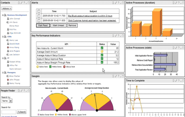 Скриншот IBM WebSphere Business Monitor